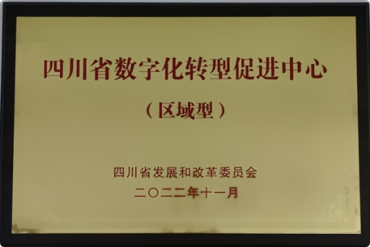 四川省數(shù)字化轉(zhuǎn)型促進中心（區(qū)域型）